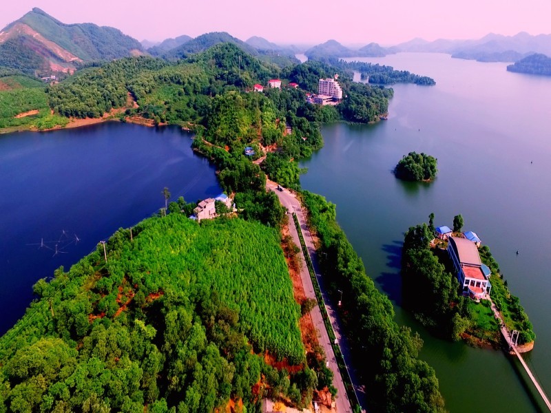 Hồ nước với khu rừng bao quanh
