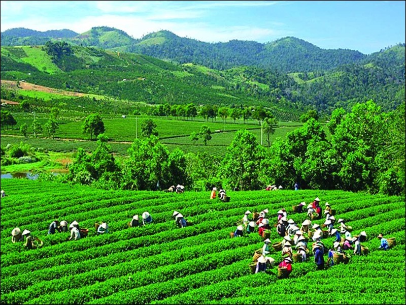Không gian nghỉ dưỡng yên bình bên suối